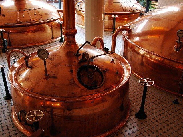 produkce piva