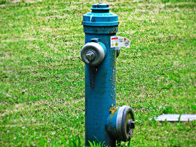 modrý hydrant
